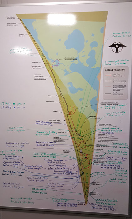 Map of Point Pelee know as the board.