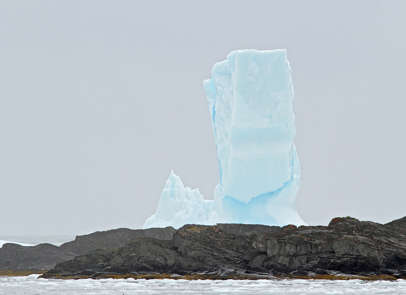 Icebergs, St. Anthony, 