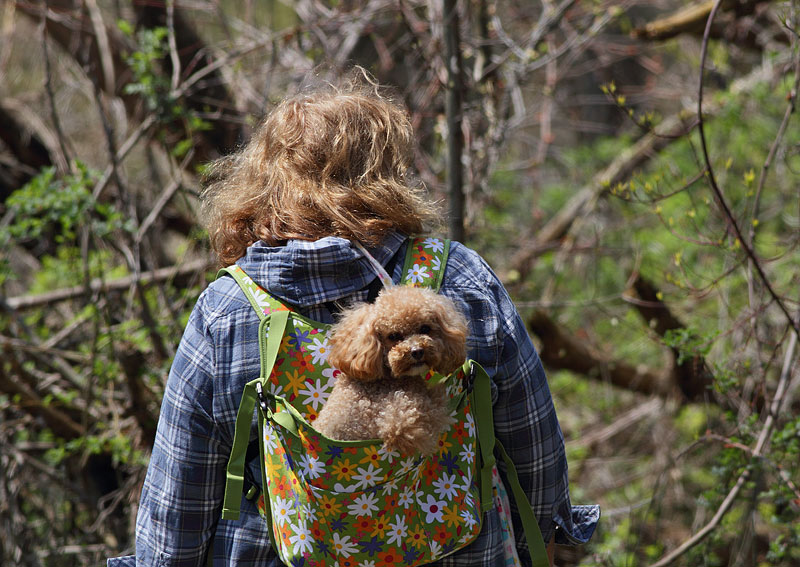Puddles in the Backpack